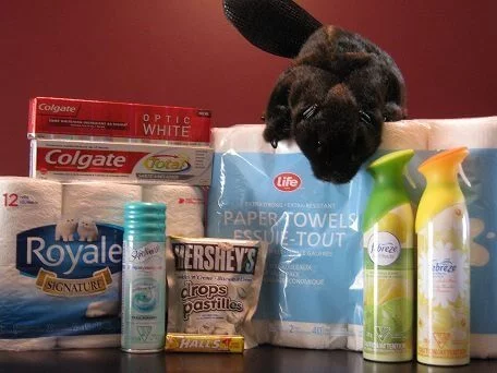Canada day shopping