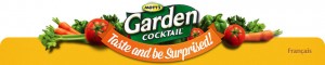 motts 300x60