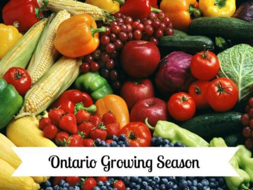 Ontario Fruit & Vegetable Season Growing