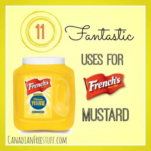 11 Awesome French Mustard Uses