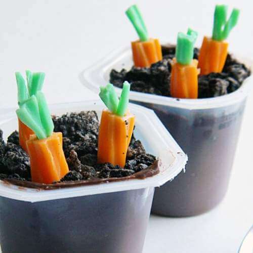 Carrot Patch Pudding Snacks