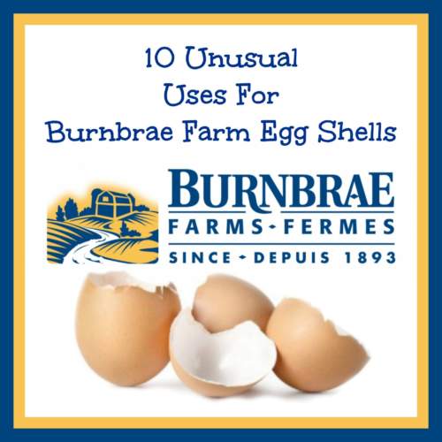 10 Uses for Burnbrae Egg Shells