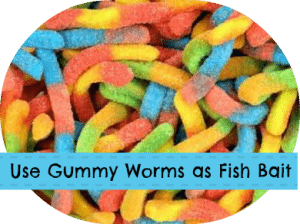 Frugal Fishing Tip – Use Gummy Worms as Bait