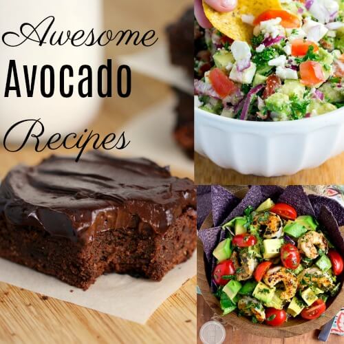 Fresh Avocado Recipes Roundup