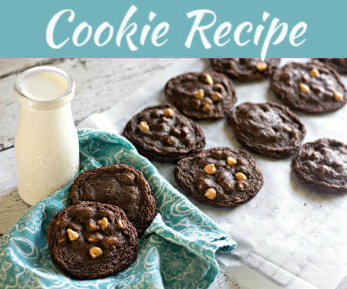 Chocolate Peanut Butter Cookies Recipe