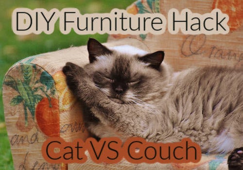 How to Fix Cat Scratches on Furniture (DIY)