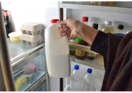 Milk plastic jug out of fridge