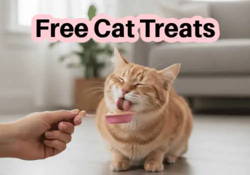 Check Out Some of the Best Deals and Free Samples in Canada | Canadian Free Stuff Peekage free samples for Canada-Get Free cat treats from Peekage Canada