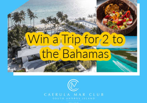 Check Out Some of the Best Deals and Free Samples in Canada | Canadian Free Stuff Win a trip for two to the Bahamas in this new HGTV Canada Contest
