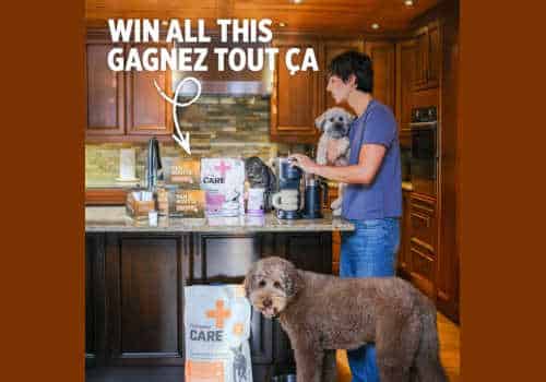 Check Out Some of the Best Deals and Free Samples in Canada | Canadian Free Stuff Nutrience Contest Canada 2026-Win over $600 worth of Prizes in the latest Nutrience Canada Contest -Win Dog stuff
