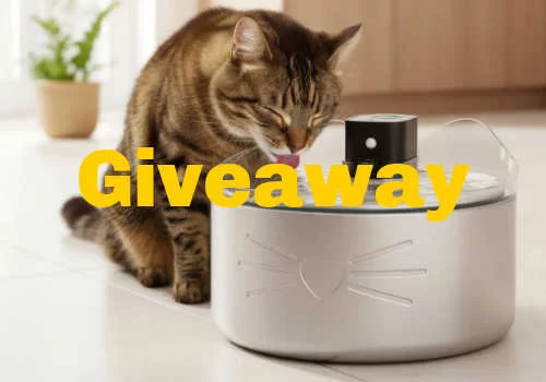 Check Out Some of the Best Deals and Free Samples in Canada | Canadian Free Stuff Win a Catit Pixi water fountain in this new Catit Canada Contest