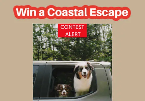 Check Out Some of the Best Deals and Free Samples in Canada | Canadian Free Stuff Win a Coastal Escape in this new Toyota Atlantic Contest -Toyota Canada Contest -Toyota Contest Canada