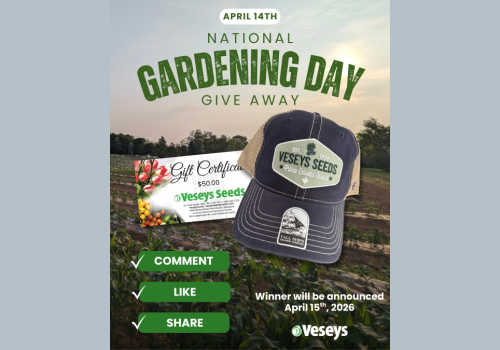 Check Out Some of the Best Deals and Free Samples in Canada | Canadian Free Stuff Enter this new Veseys Seeds contest Canada to win an amazing prize get your garden ready for spring. New Veseys Seeds Canada Contest