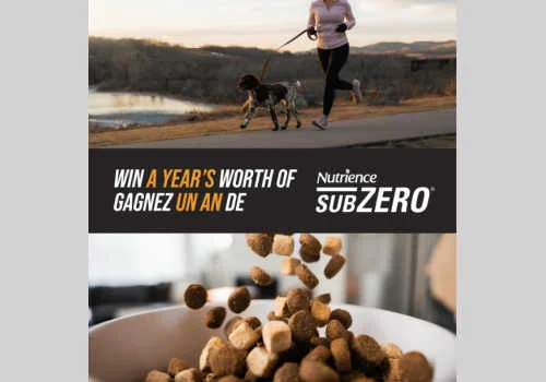 Win a years worth of Nutrience dog food in this new Nutrience Canada contest