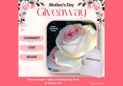 Check Out Some of the Best Deals and Free Samples in Canada | Canadian Free Stuff Enter this new Veseys Seeds contest Canada to win an amazing prize get your garden ready for spring. New Veseys Seeds Canada Contest