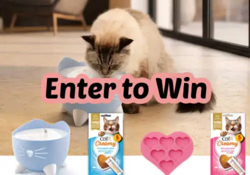 Check Out Some of the Best Deals and Free Samples in Canada | Canadian Free Stuff Catit Canada Contest - Win a Summer Essentials Prize for your cat