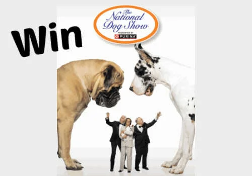 Check Out Some of the Best Deals and Free Samples in Canada | Canadian Free Stuff Win a trip for 2 to the National Dog Show presented by Purina -New Petsmart Contest