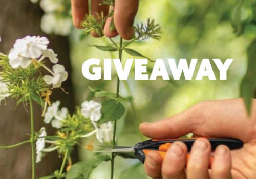 Check Out Some of the Best Deals and Free Samples in Canada | Canadian Free Stuff Check Out Some of the Best Deals and Free Samples in Canada | Free Samples Canada