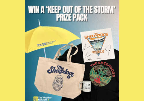 Check Out Some of the Best Deals and Free Samples in Canada | Canadian Free Stuff Check Out Some of the Best Deals and Free Samples in Canada | Free Samples Canada