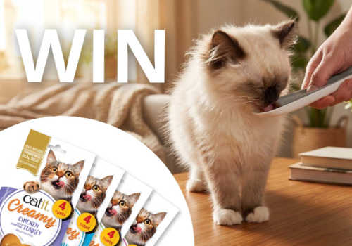 Check Out Some of the Best Deals and Free Samples in Canada | Canadian Free Stuff Catit Canada Contest - Win the brand new flavors of Catit Creamy