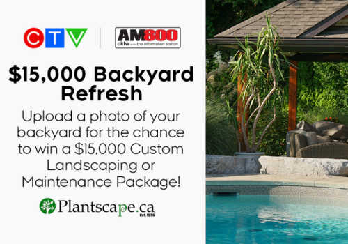 Check Out Some of the Best Deals and Free Samples in Canada | Canadian Free Stuff Win a $15,000 Backyard refresh in this new CTV Canada Contest