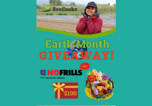 Check Out Some of the Best Deals and Free Samples in Canada | Canadian Free Stuff no frills contest canada -win a $100 no frills canada gift card