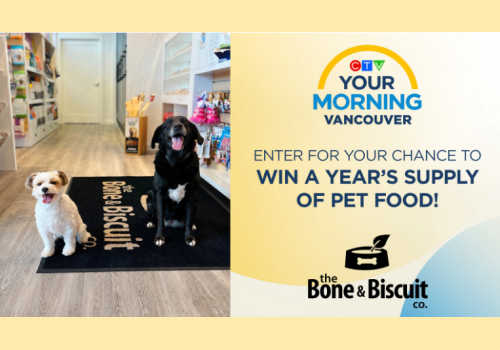 Check Out Some of the Best Deals and Free Samples in Canada | Canadian Free Stuff Win a years supply of pet food in this new ctv vancouver contest