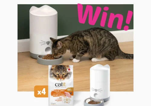 Check Out Some of the Best Deals and Free Samples in Canada | Canadian Free Stuff Catit Canada Contest - Win a Catit Pixi feeder for your cat