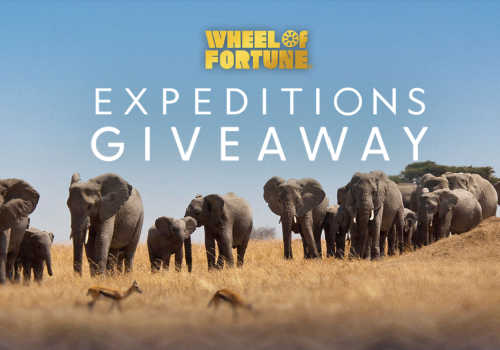 Check Out Some of the Best Deals and Free Samples in Canada | Canadian Free Stuff Wheel of Fortune Sweepstakes -Expeditions Giveaway
