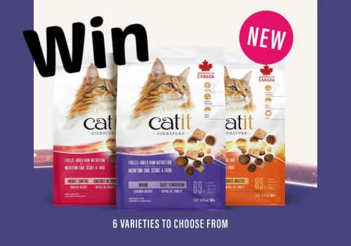 Check Out Some of the Best Deals and Free Samples in Canada | Canadian Free Stuff Catit Canada Contest - Win a Catit Pixi feeder + freeze dried food for your cat